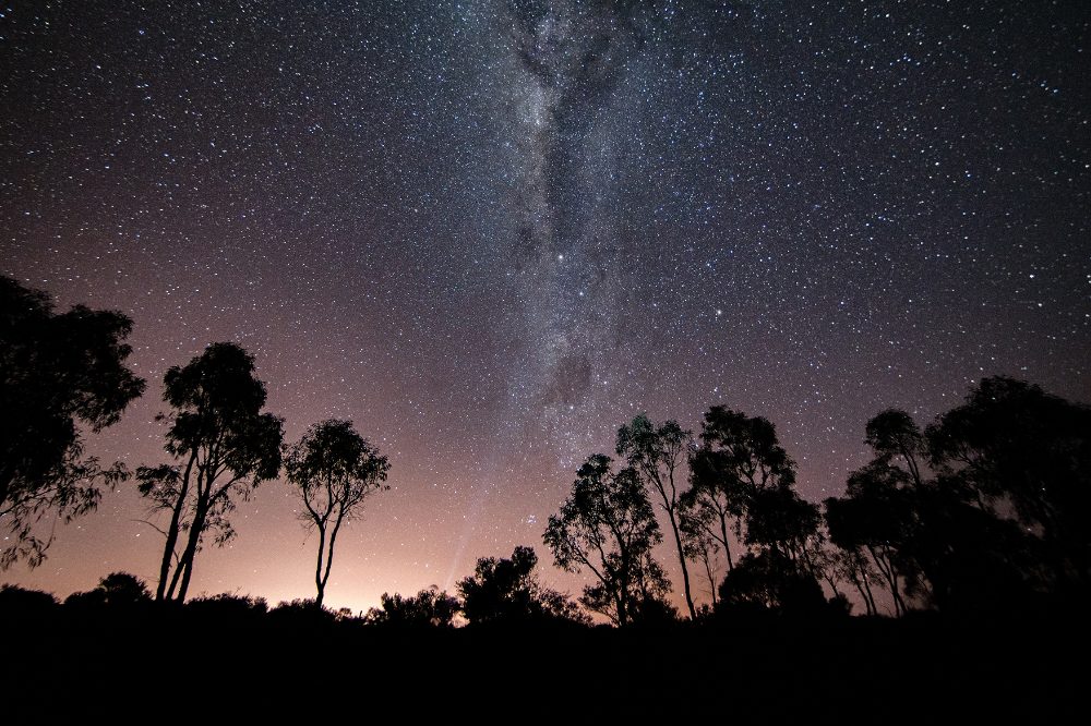 Milky Way over silhouetted outback gums