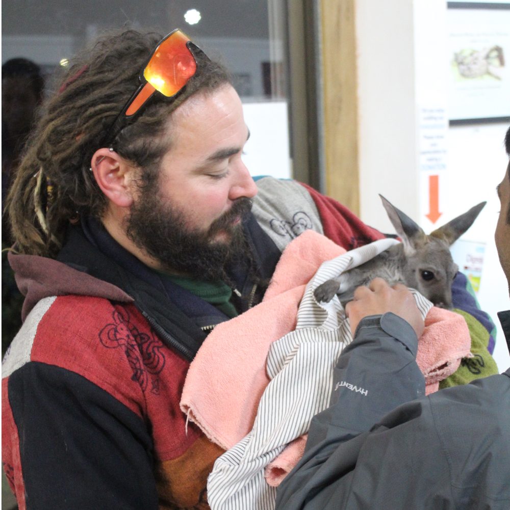 Guide holding a rescued joey wrapped in a towel